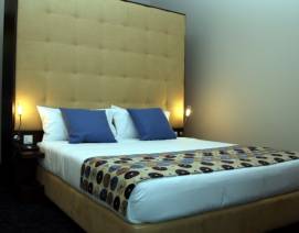 Doble, Doble Estándar, Douro Palace Hotel Resort &amp; Spa en 
