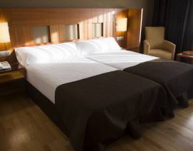 Habitación Doble Estándar, Doble Uso Individual, Hotel Vía Argentum en Pontevedra