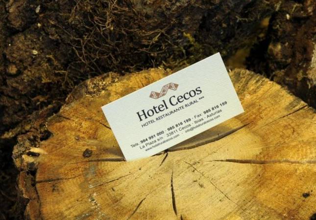 Espaciosas habitaciones en Hotel Restaurante Rural Cecos. Disfruta  nuestro Spa y Masaje en Asturias